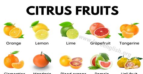 citrus in tagalog|Mr K Bogdziewicz v Citrus FM Ltd: 1405957/2023 .